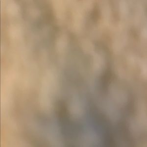 Meet your Posher, Bella